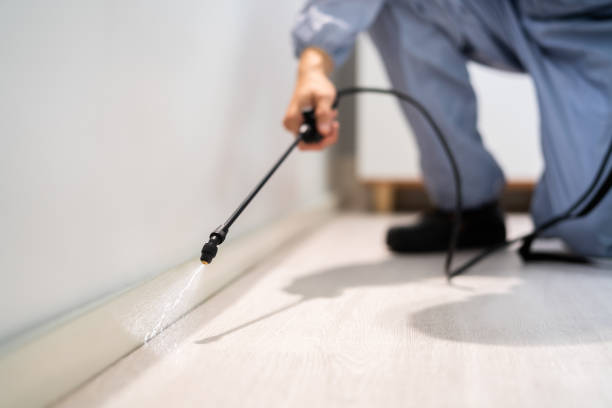 Licensed Pest Control service in Springfield, VA - Nex Pest Control