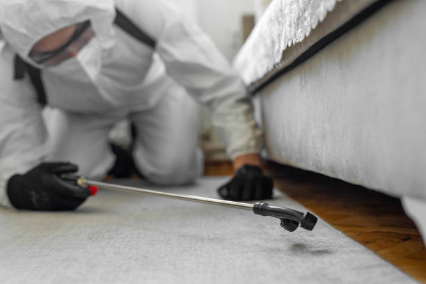 Professional Pest Control technician working in Springfield, VA