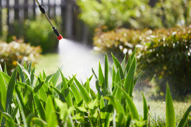24/7 Emergency Pest Control experts in Springfield, VA