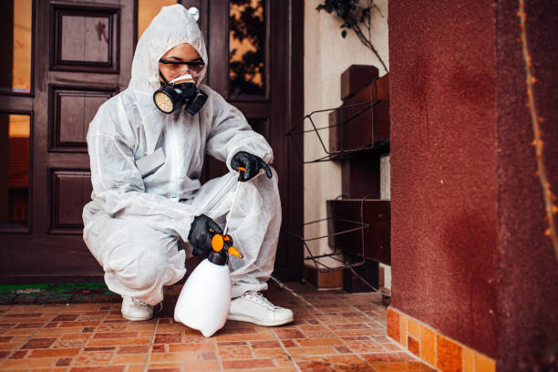 Reliable Pest Control contractor in Springfield, VA by Nex Pest Control