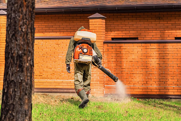 Top rated local Pest Control specialists in Springfield, VA